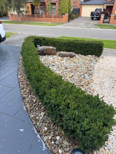 IMG_5341.jpeg IMG_5341.jpeg