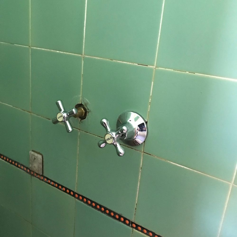 4B5EE154-C804-4EEA-A0E2-36E233D2B736.jpeg 4B5EE154-C804-4EEA-A0E2-36E233D2B736.jpeg