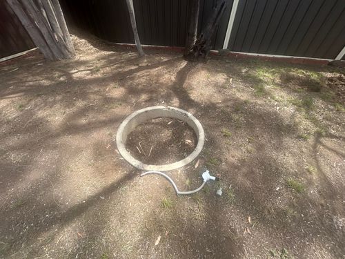 IMG_2221.jpeg IMG_2221.jpeg