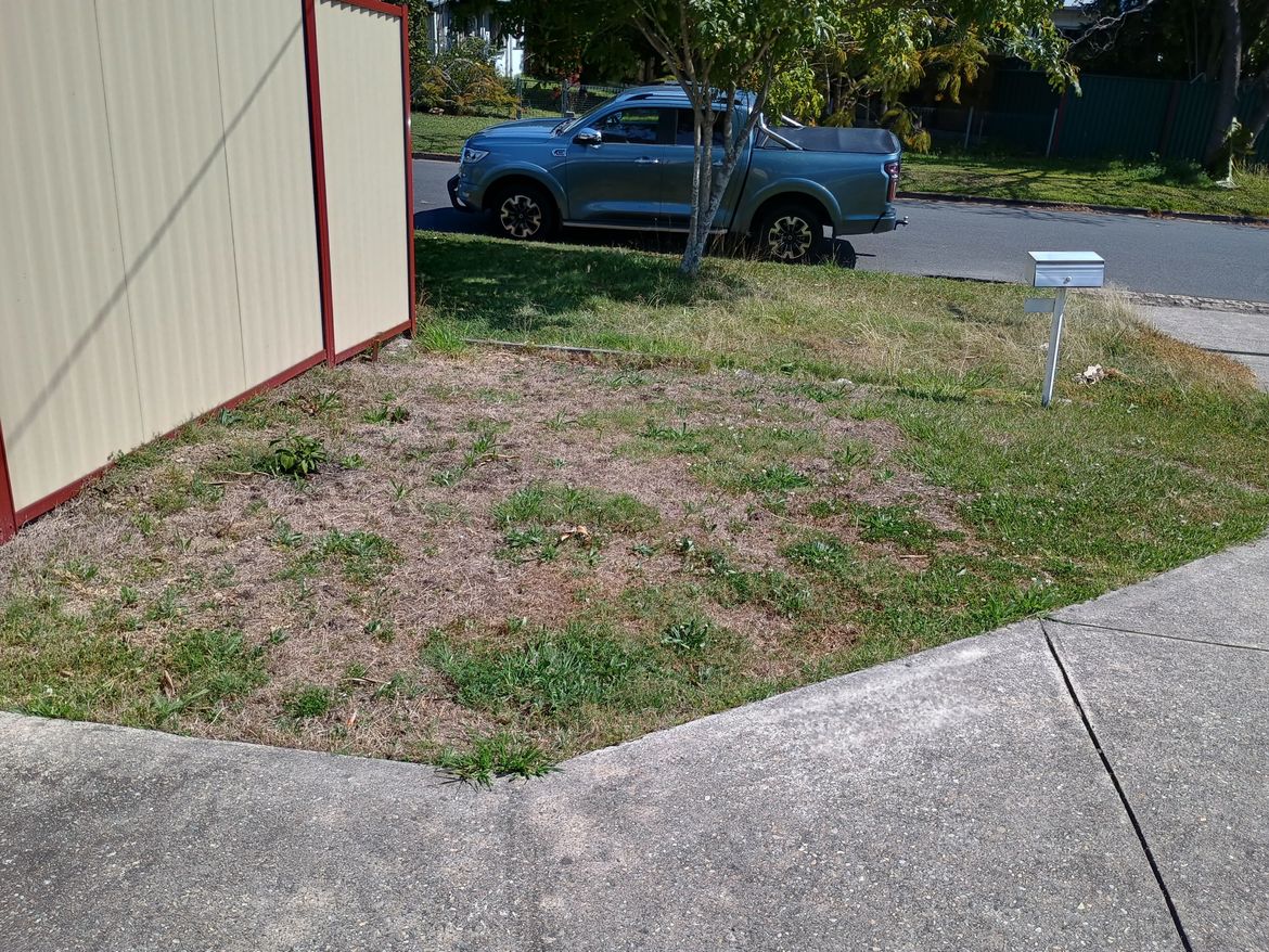 FRONTYARD-1.jpg FRONTYARD-1.jpg