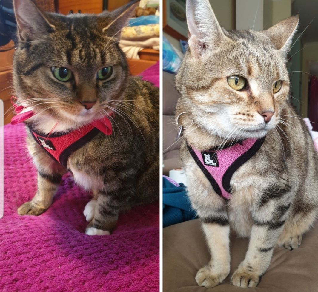 20190603_162147.jpg 20190603_162147.jpg