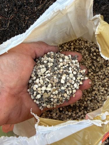 IMG_3312.jpeg IMG_3312.jpeg