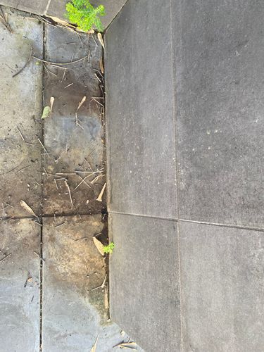 IMG_6526.jpeg IMG_6526.jpeg