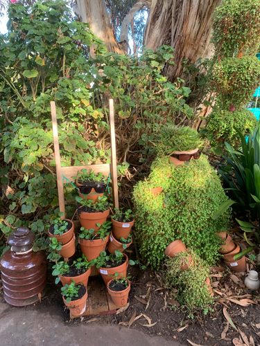 87F30DB2-723E-4CCF-A075-19006F4D3B5F.jpeg 87F30DB2-723E-4CCF-A075-19006F4D3B5F.jpeg