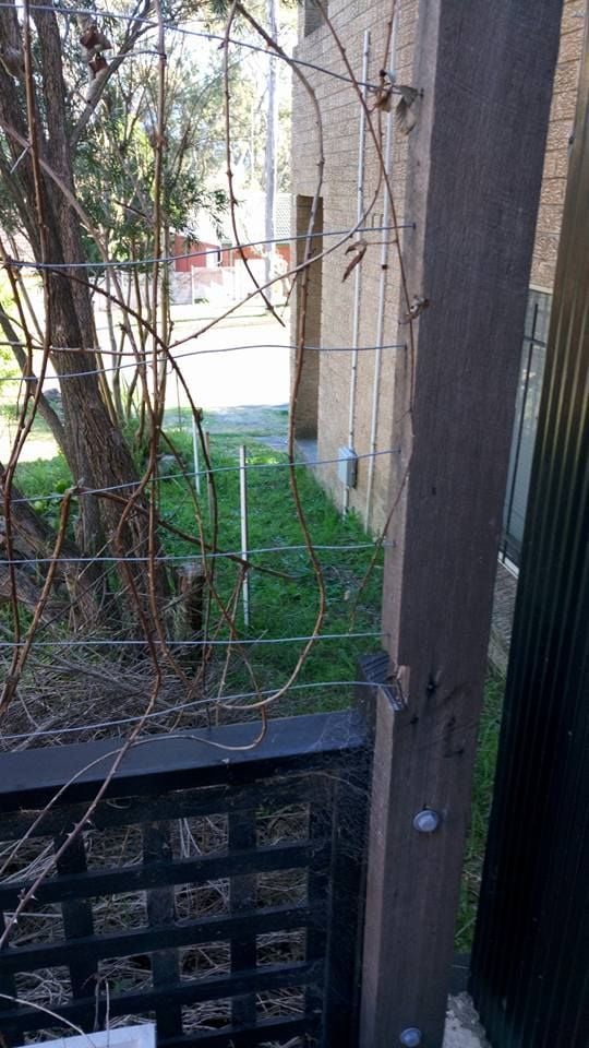 22-07-2017b.jpg 22-07-2017b.jpg