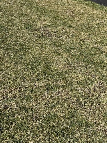 6c3bd931-a2d7-4061-b722-af7f8e5b4044.jpg 6c3bd931-a2d7-4061-b722-af7f8e5b4044.jpg