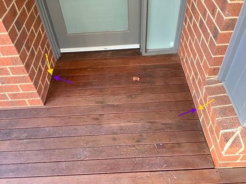 IMG_8265.jpeg IMG_8265.jpeg