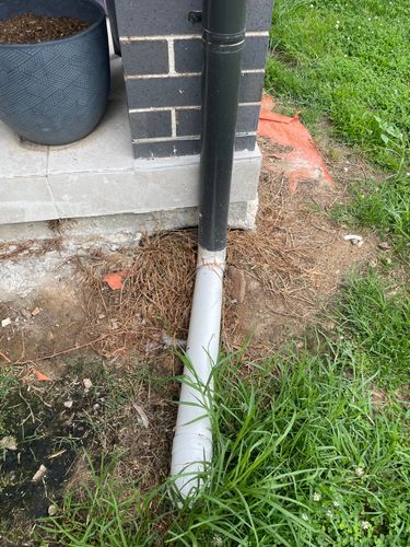 IMG_9766.jpeg IMG_9766.jpeg