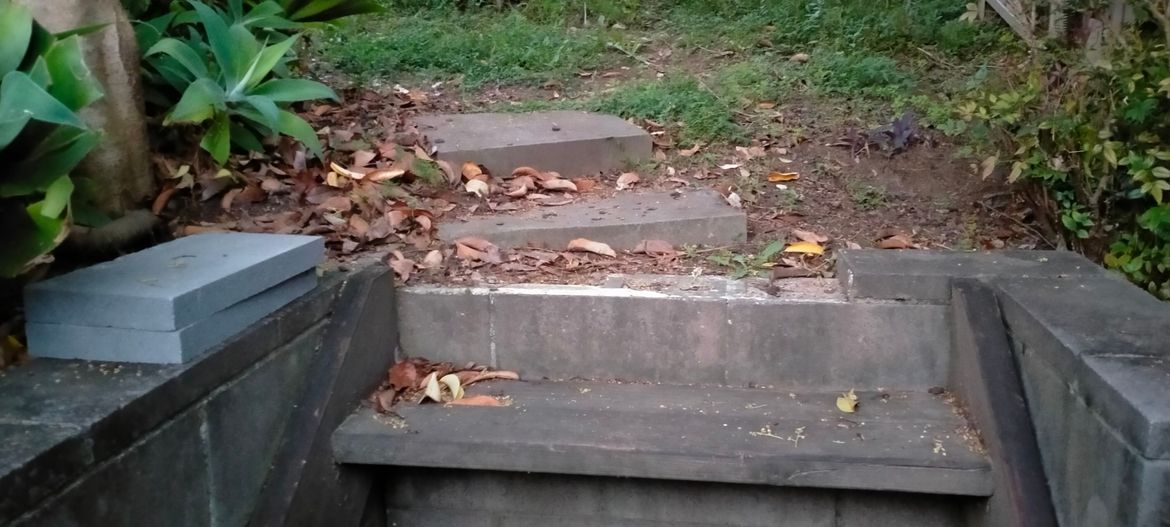 IMG20230204061543.jpg IMG20230204061543.jpg