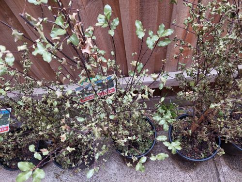 20230102_175506.jpg 20230102_175506.jpg