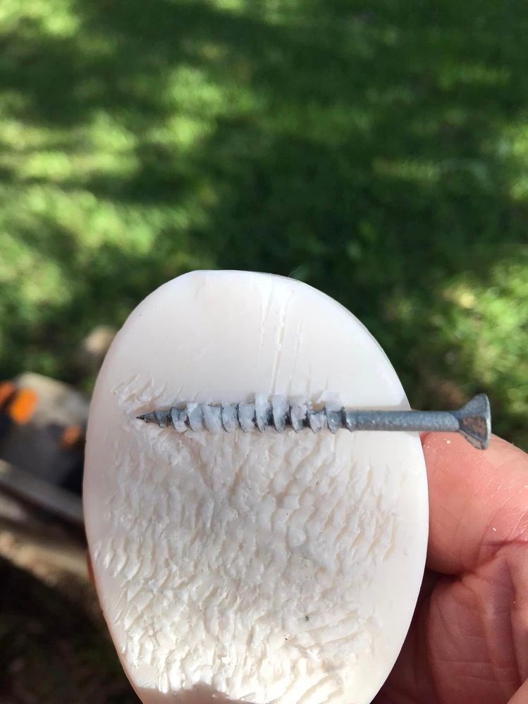 21 08-04-2023.jpg 21 08-04-2023.jpg