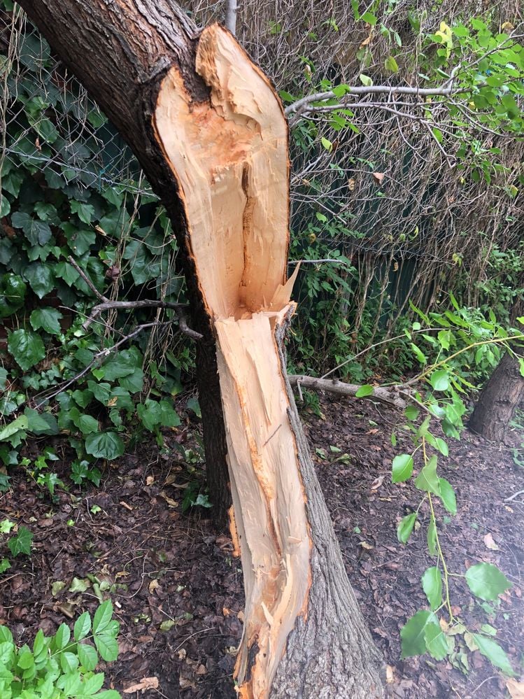 IMG_1508.jpg IMG_1508.jpg