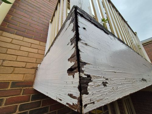 1000061959.jpg 1000061959.jpg