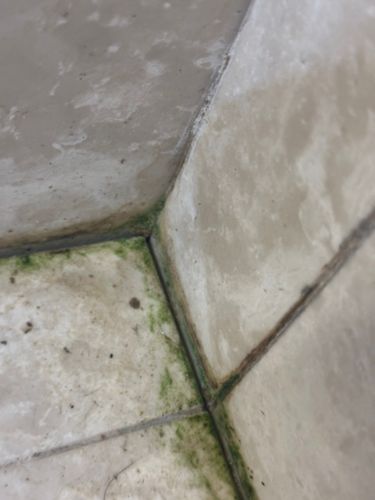 IMG_8280.jpeg IMG_8280.jpeg