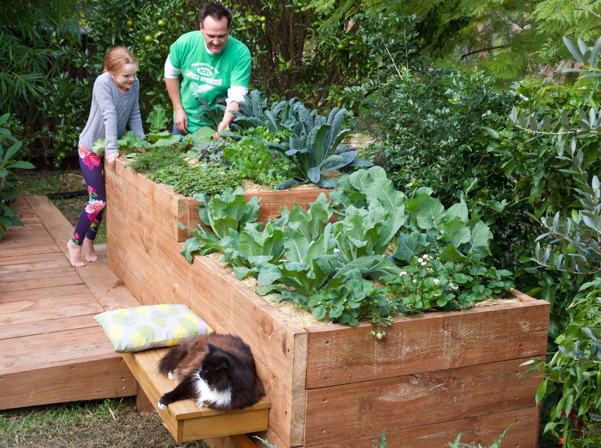 garden bed.png garden bed.png