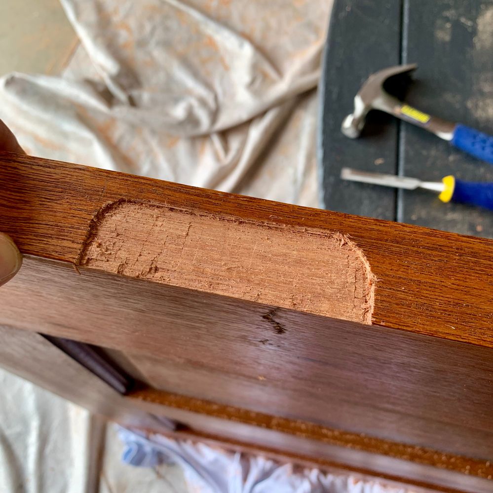 IMG_3183.jpeg IMG_3183.jpeg