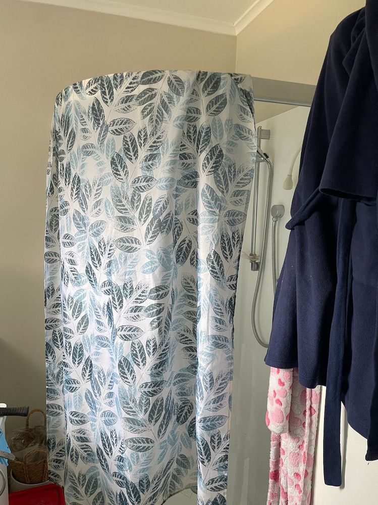 IMG_0894.jpeg IMG_0894.jpeg