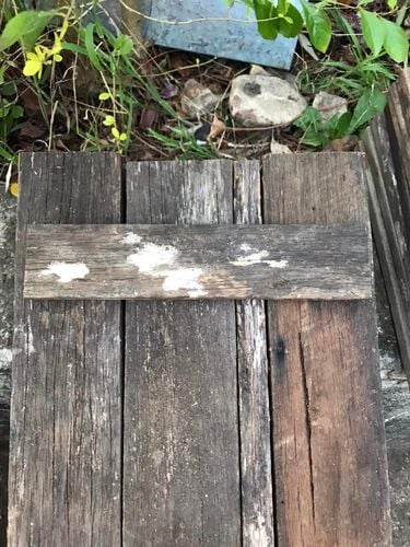 04 05-10-2023.jpg 04 05-10-2023.jpg