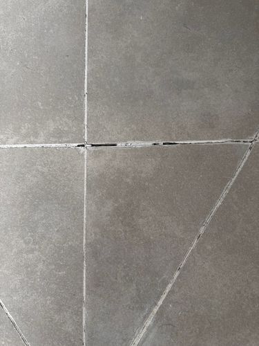 IMG_2662.jpeg IMG_2662.jpeg