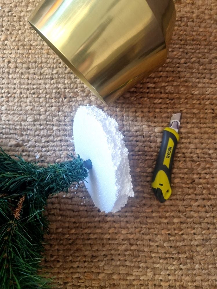 20231211_102419.jpg 20231211_102419.jpg