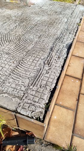 1000016975.jpg 1000016975.jpg