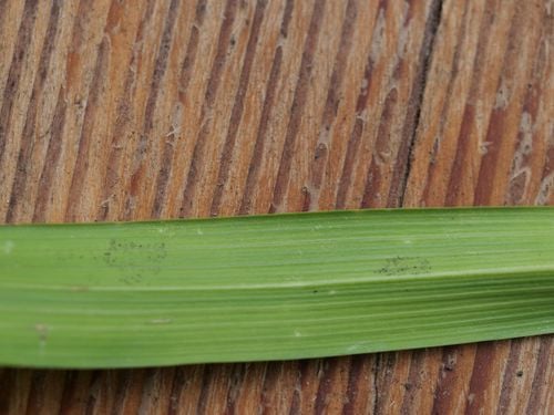 P1010187.jpg P1010187.jpg