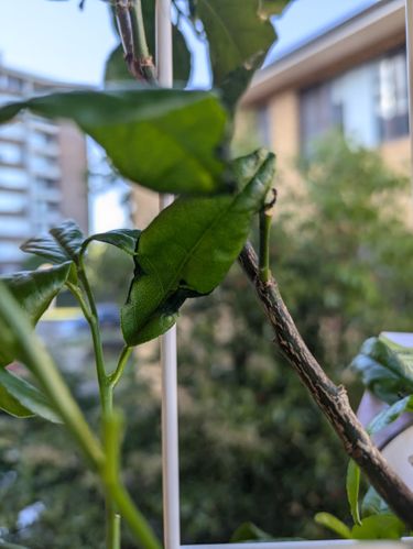 1000012999.jpg 1000012999.jpg