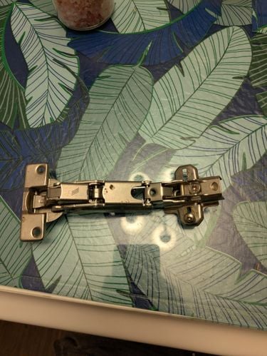 1000026036.jpg 1000026036.jpg