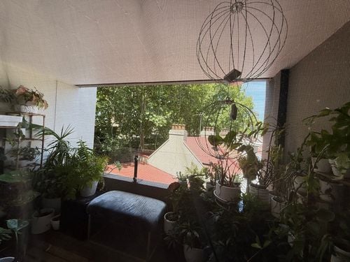 IMG_4706.jpeg IMG_4706.jpeg