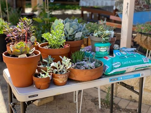 DED47E22-B337-4438-97D4-2E679294F1FB.jpeg DED47E22-B337-4438-97D4-2E679294F1FB.jpeg