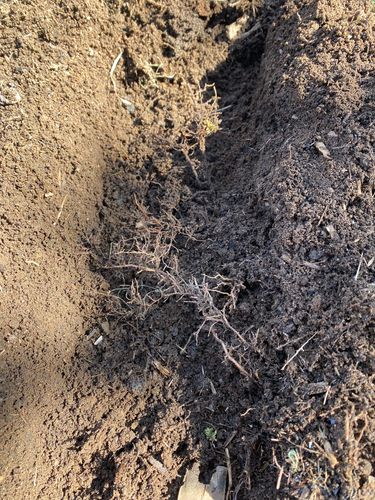 IMG_3389.jpeg IMG_3389.jpeg