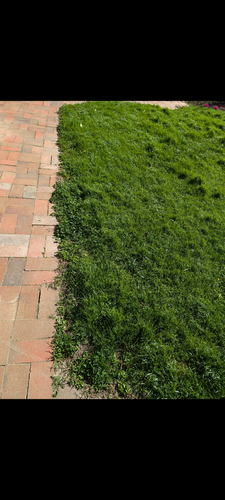 1000006336.png 1000006336.png