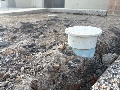 IMG_7534.jpeg IMG_7534.jpeg