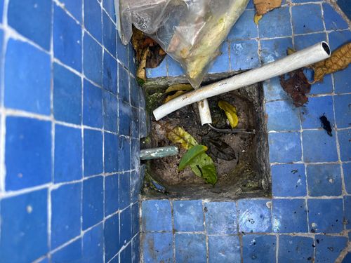 IMG_7601.jpeg IMG_7601.jpeg