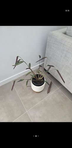 1000012427.jpg 1000012427.jpg