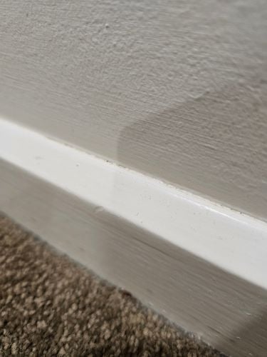 1000011613.jpg 1000011613.jpg