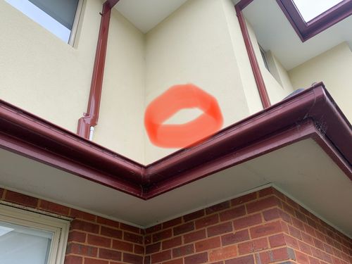 A0C95F0A-E6C9-4983-8504-28E1EDE0C47E.jpeg A0C95F0A-E6C9-4983-8504-28E1EDE0C47E.jpeg