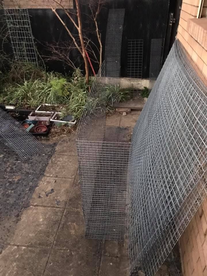 08 02-08-2021.jpg 08 02-08-2021.jpg