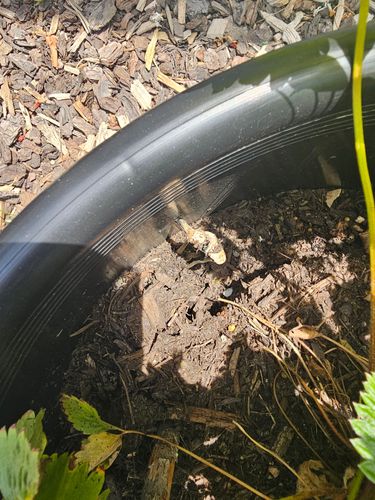 1000037220.jpg 1000037220.jpg