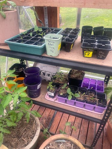 AC767614-A5BF-40C9-89D6-D893729ADEA1.jpeg AC767614-A5BF-40C9-89D6-D893729ADEA1.jpeg