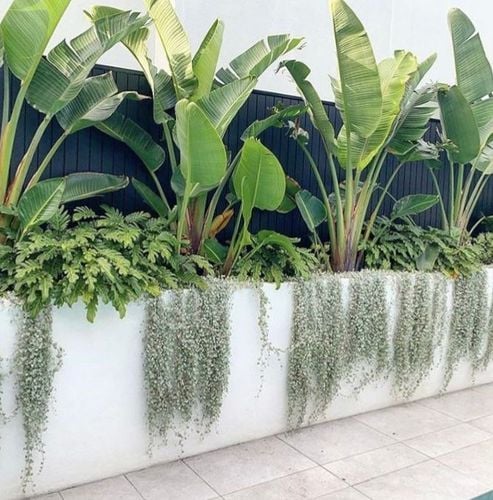 IMG_5747.jpeg IMG_5747.jpeg