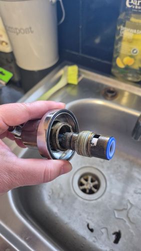 1000013803.jpg 1000013803.jpg