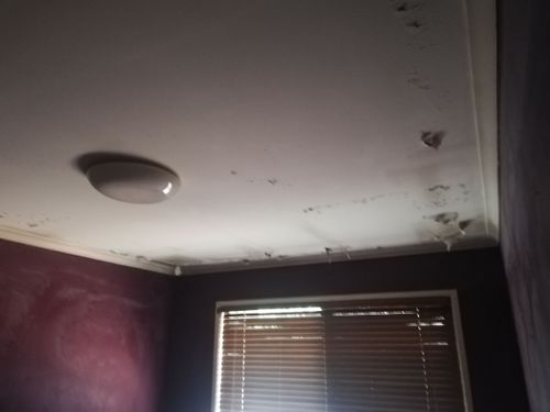 IMG_20191230_160709.jpg IMG_20191230_160709.jpg