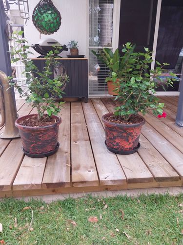 20230217_092155.jpg 20230217_092155.jpg