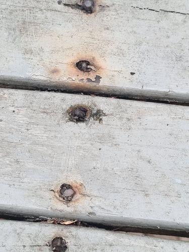 1000072040.jpg 1000072040.jpg