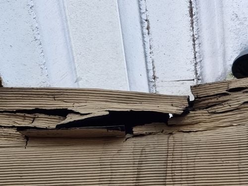 20230303_084906.jpg 20230303_084906.jpg