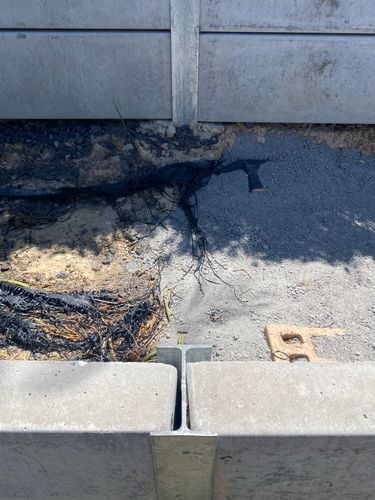 IMG_3282.jpeg IMG_3282.jpeg