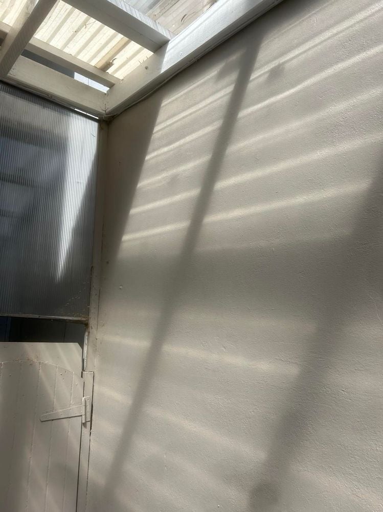 460002703_868793652034044_5036435767660991043_n (1).jpg 460002703_868793652034044_5036435767660991043_n (1).jpg