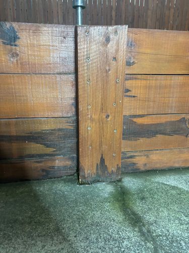 IMG_8186.jpeg IMG_8186.jpeg