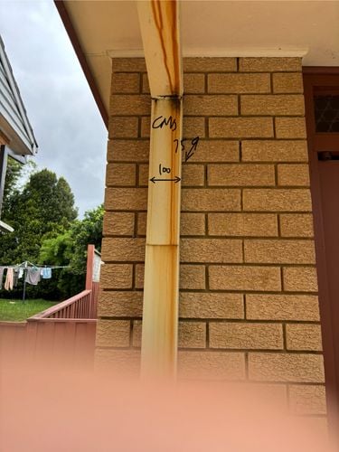 IMG_3869.jpeg IMG_3869.jpeg